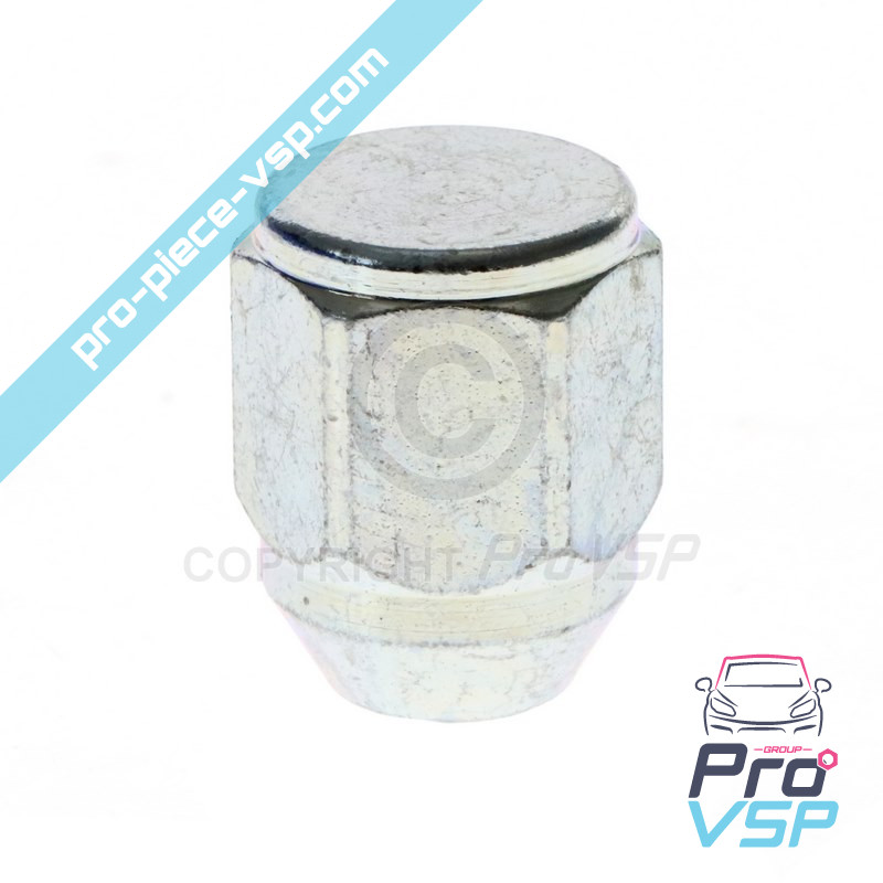 Wheel nut