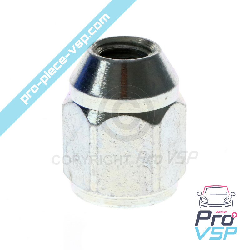 Wheel nut