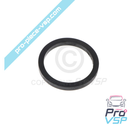 Rear brake caliper piston gasket