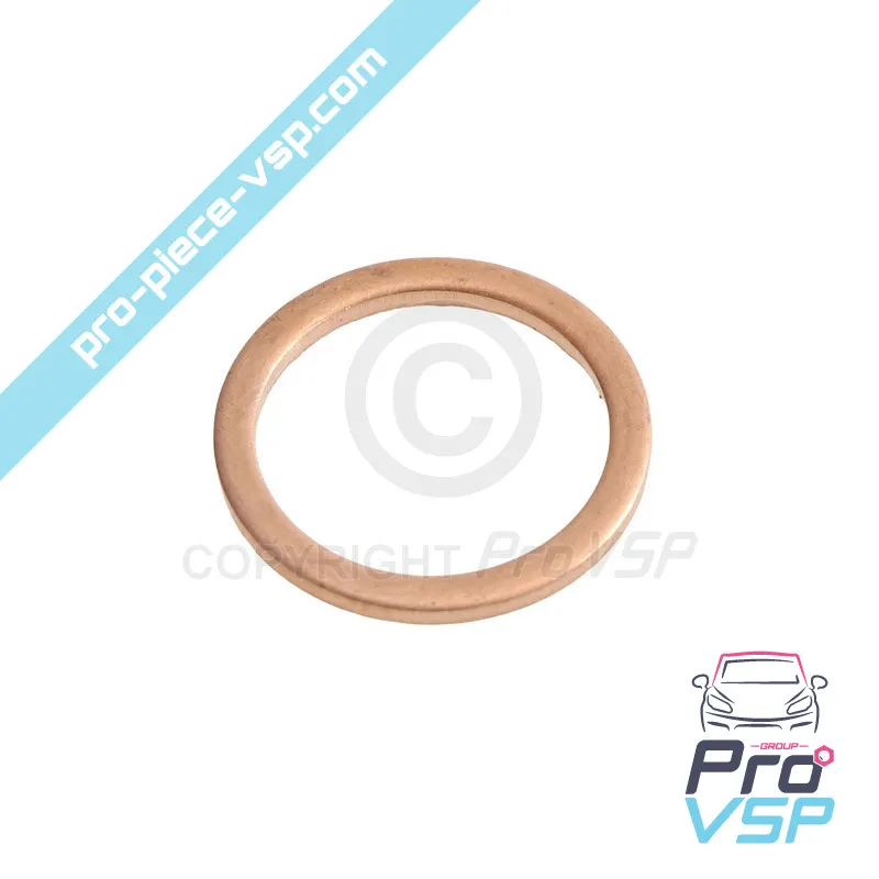 Engine flow adjustment screw seal Lombardini Focs Progress 502