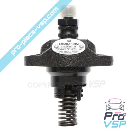 Pompe à injection pour moteur Lombardini 6LD325