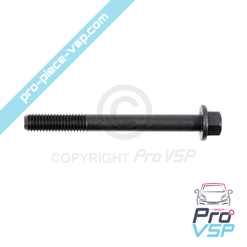 Cylinder head screw