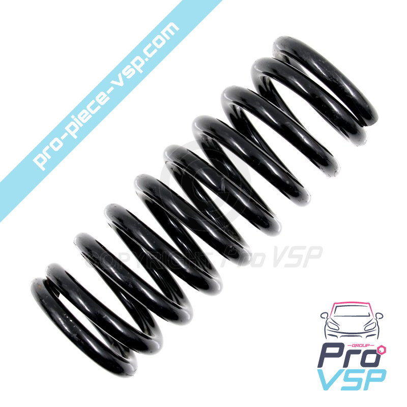 Rear shock absorber spring