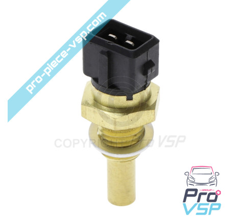 Wassertemperaturfühler für Lumbardini Motor dci