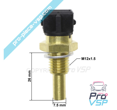 Wassertemperaturfühler für Lumbardini Motor dci