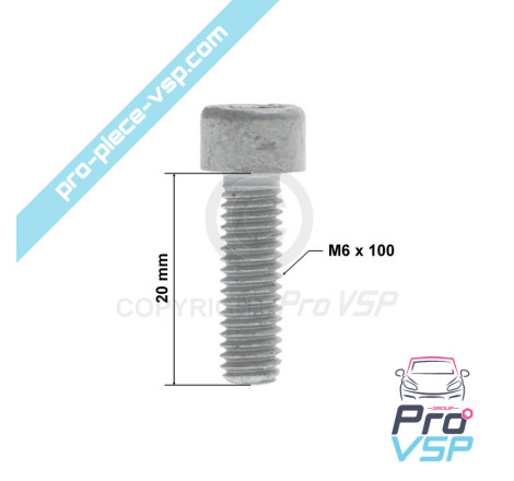 copy of M6 x 20 screw