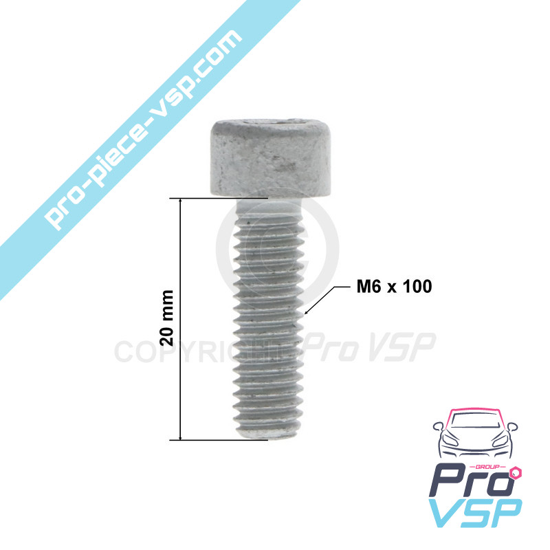 copy of M6 x 20 screw