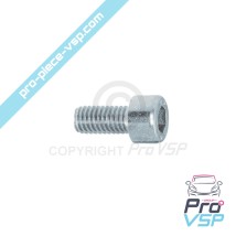 copy of Screw lid