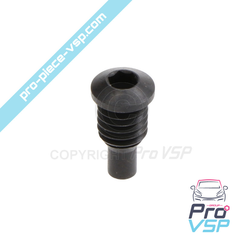 Injection pump screw