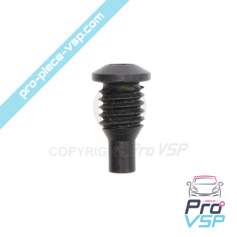 Injection pump screw
