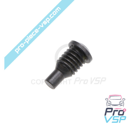 Injection pump screw