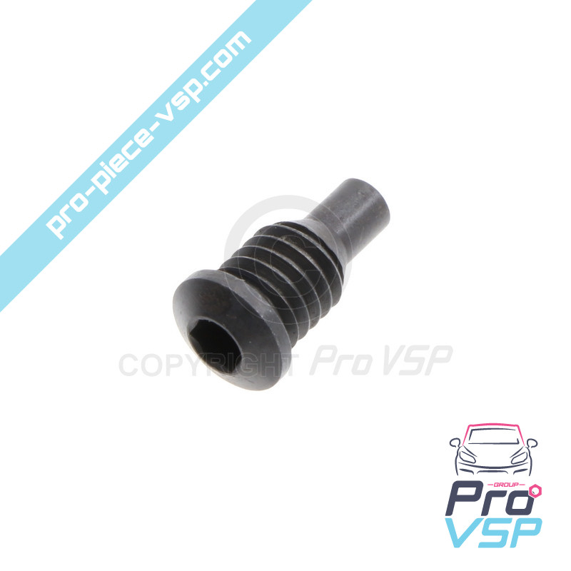Injection pump screw