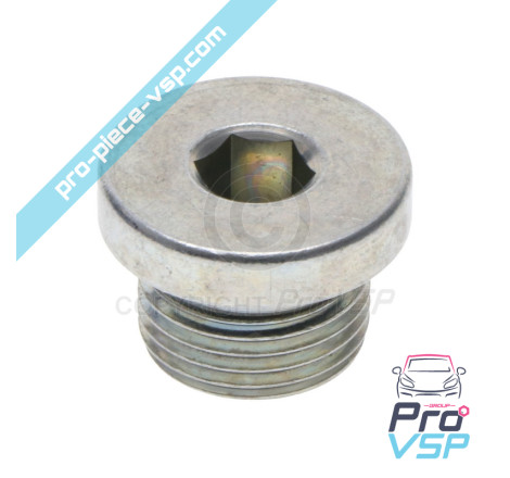Spina di scarico magnetico
