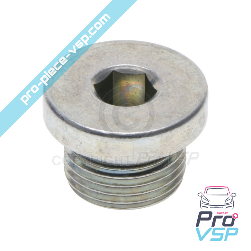 Spina di scarico magnetico
