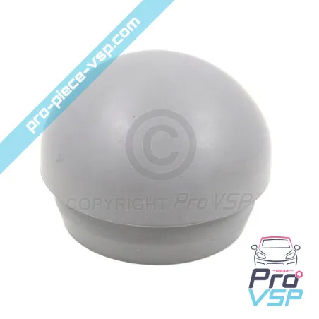 Lower front bumper cap