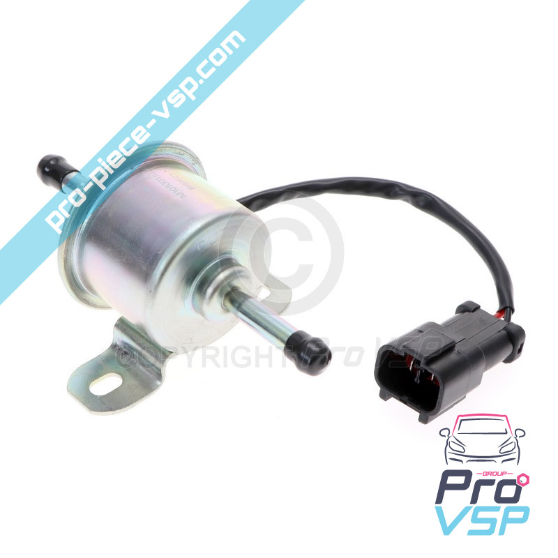Electric diesel pump