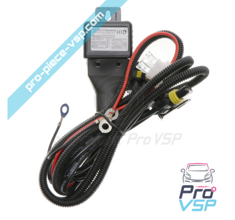 Xenon H4 Bulb Kit