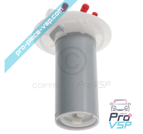 Calibro di carburante