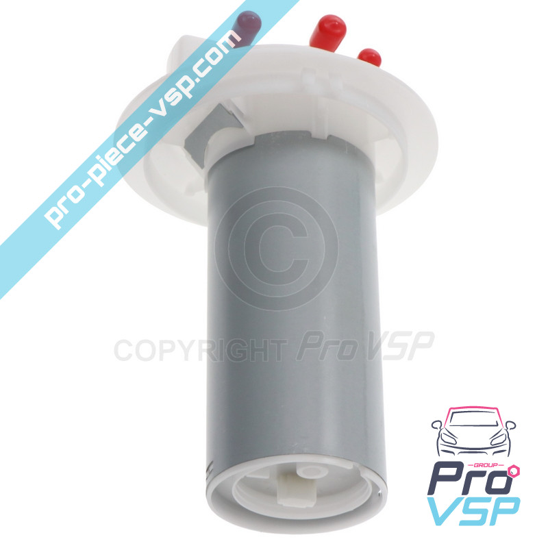 Calibro di carburante