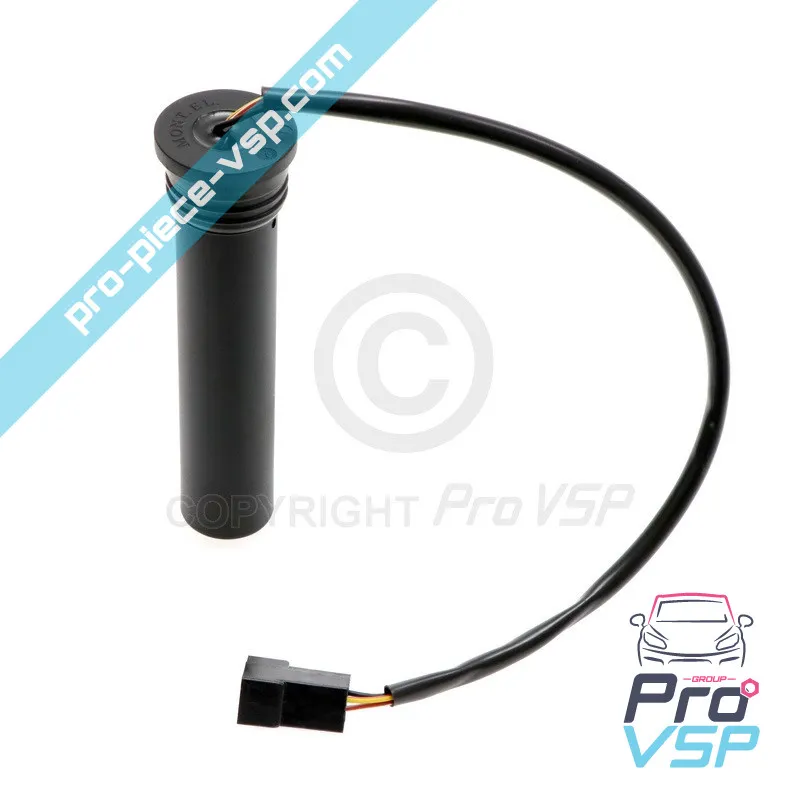 Origine del calibro carburante per Casalini