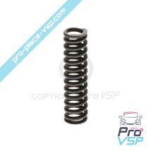 copy of Oil pump spring