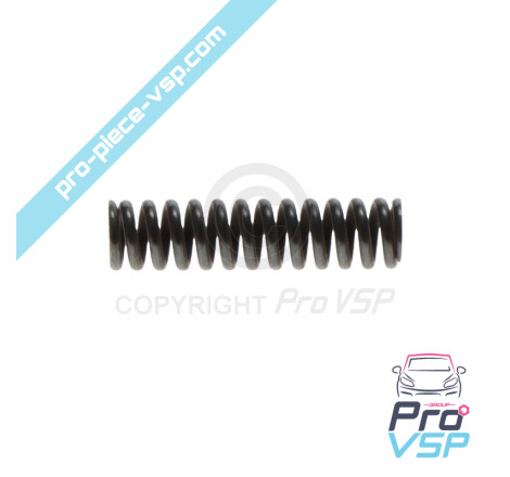 Motorölpumpenfeder Lombardini Focs Progress 502 523