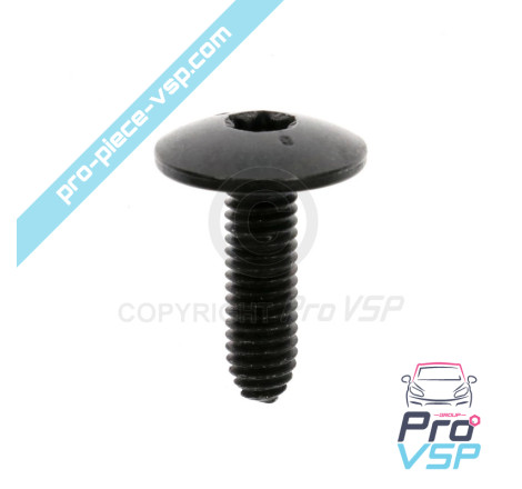 Screw RLX M6 x 100