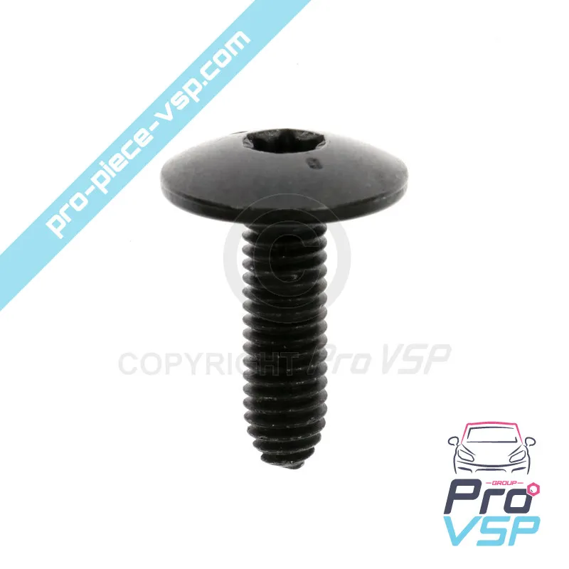Tornillo rlx m6 x 100 origen para Renault Twizy