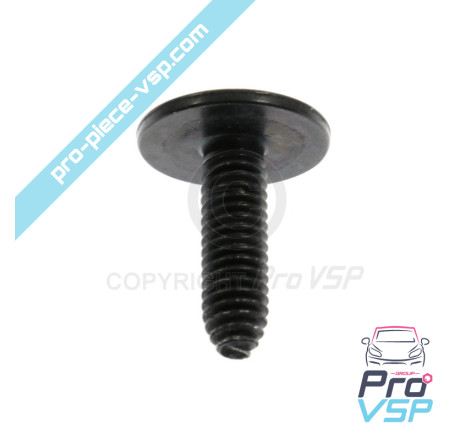 Screw RLX M6 x 100