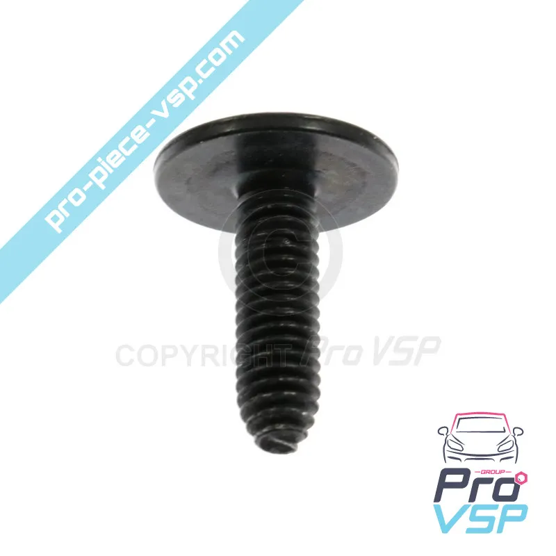 Tornillo rlx m6 x 100 origen para Renault Twizy