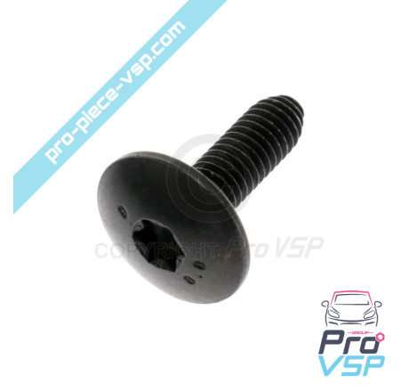 Screw RLX M6 x 100