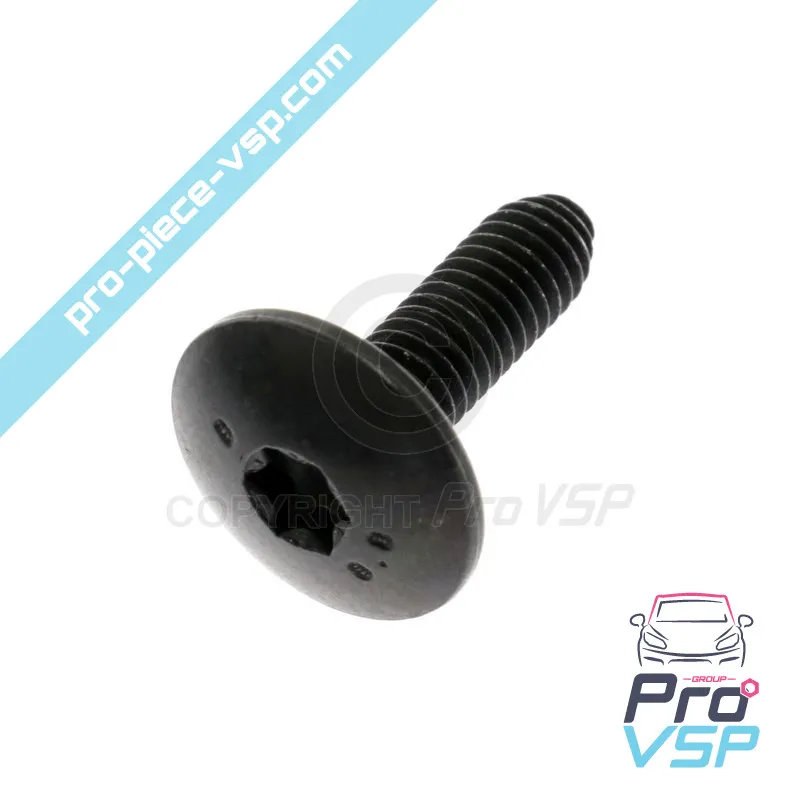 Parafuso rlx m6 x 100 de origem para Renault Twizy