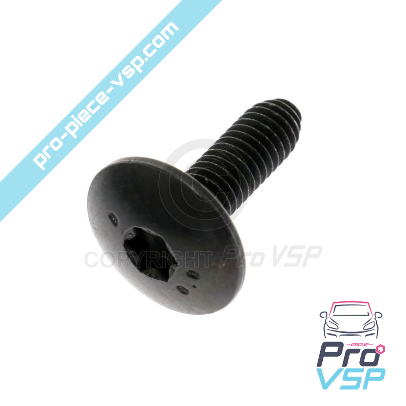 Screw RLX M6 x 100