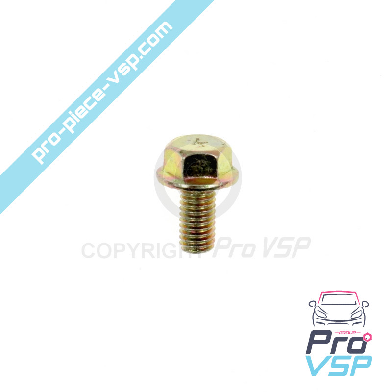 Hinge axle screw