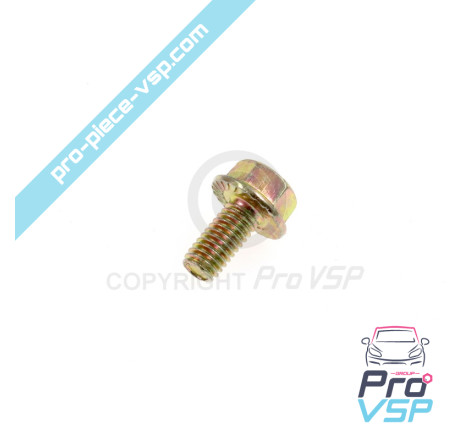 Hinge axle screw
