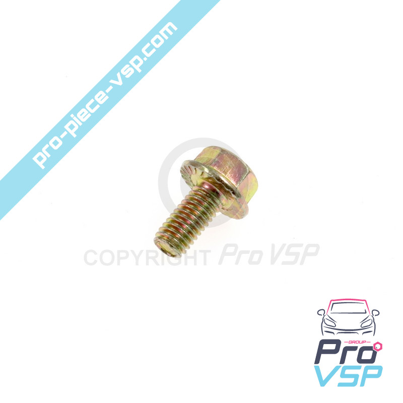 Hinge axle screw
