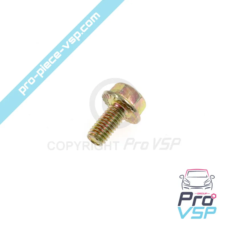 Hinge axle screw