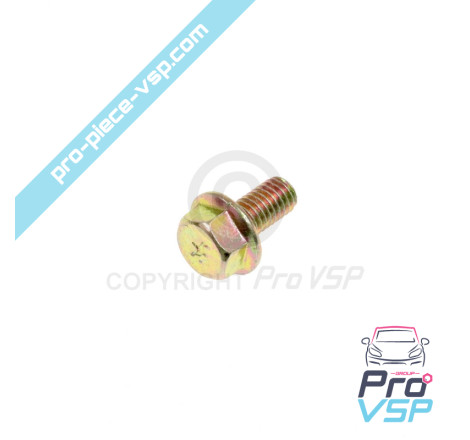 Hinge axle screw