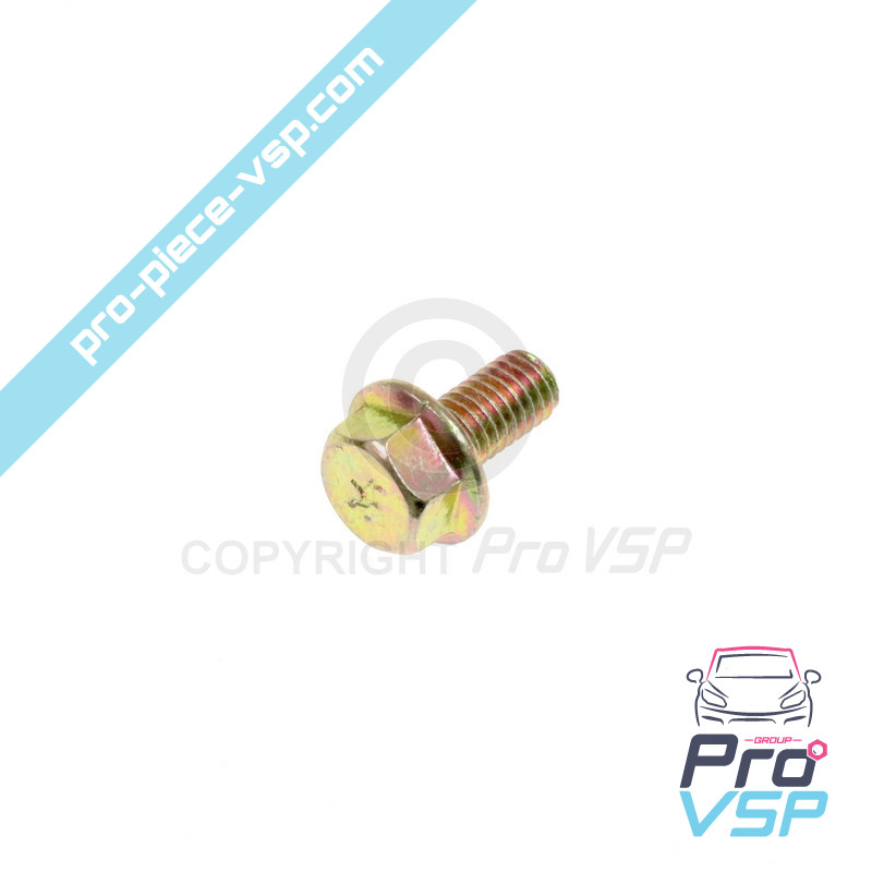 Hinge axle screw