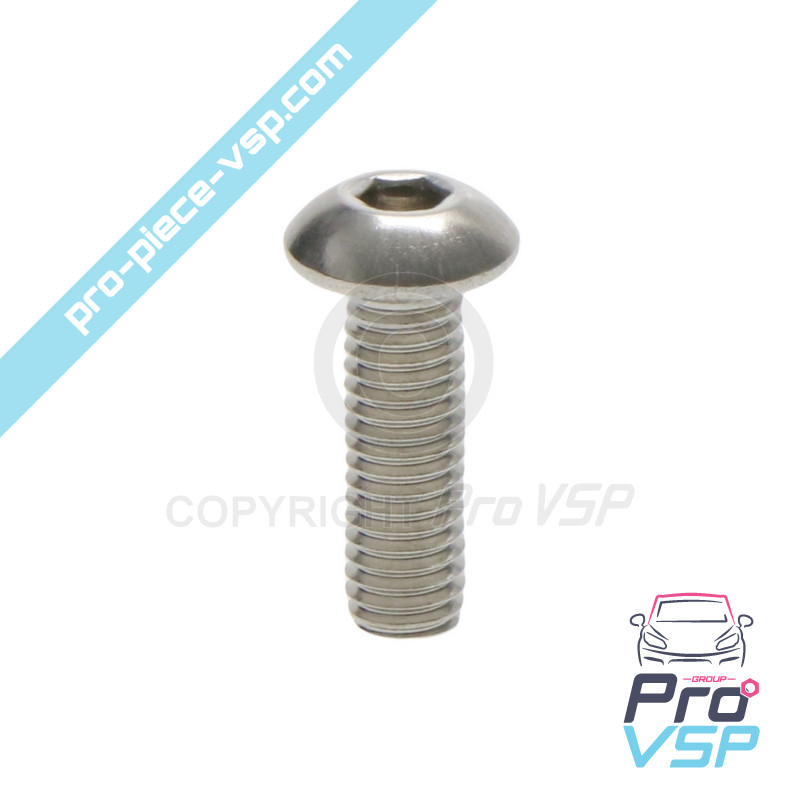 Door panel fastening screw