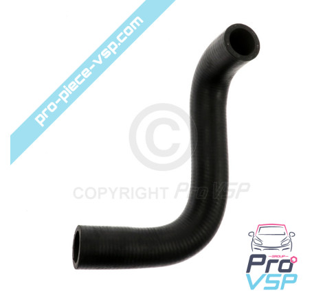 Lower hose