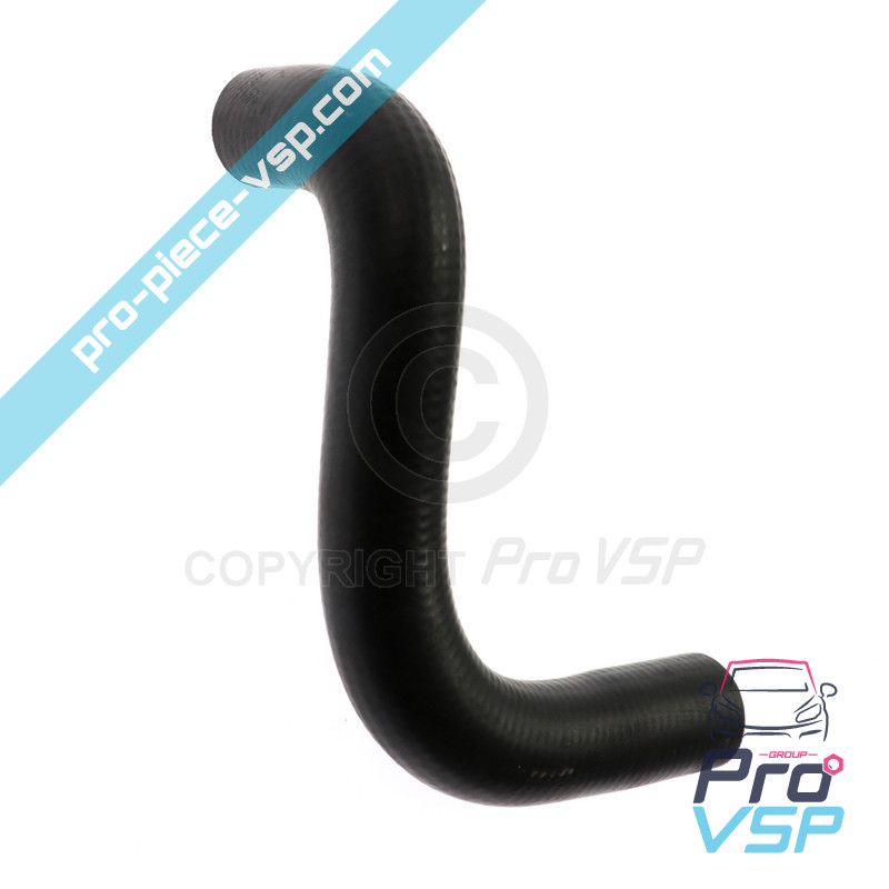 Lower hose