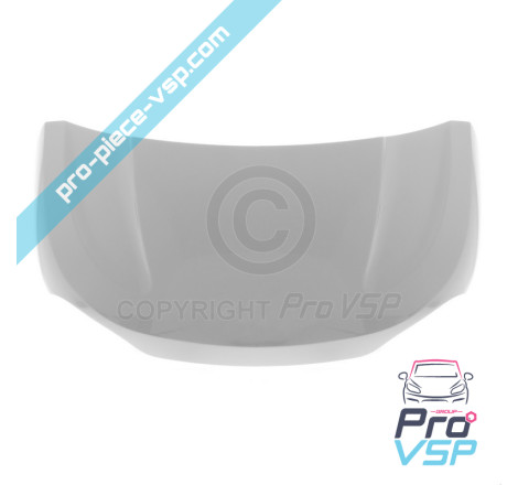 Original hood (mineral gray)