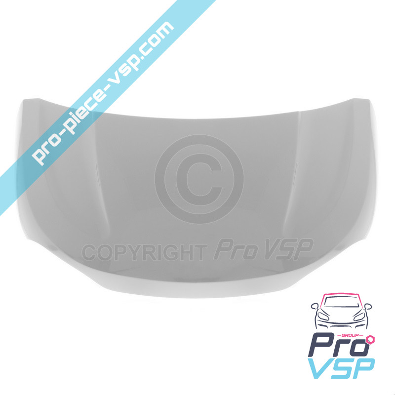 Original hood (mineral gray)