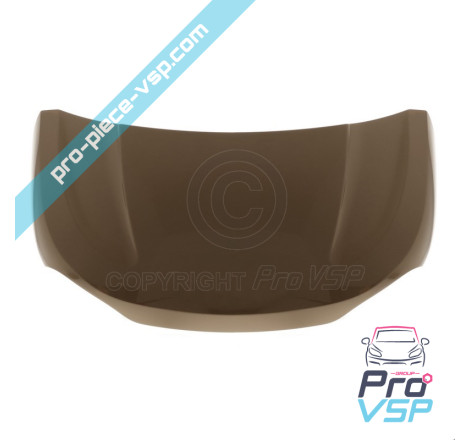 Origin (bronze) hood
