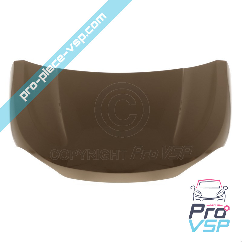Origin (bronze) hood
