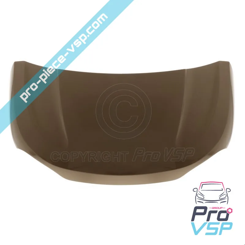 Origin (bronze) hood
