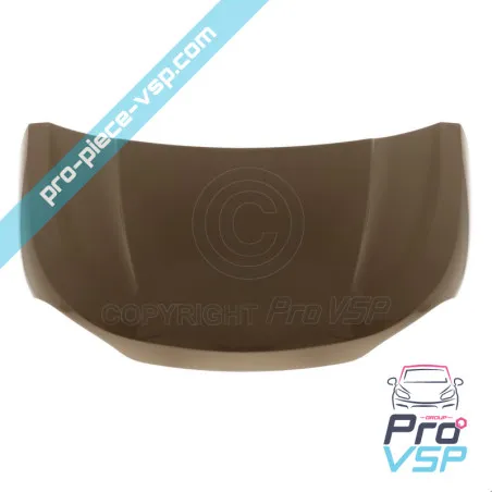 Origin (bronze) hood