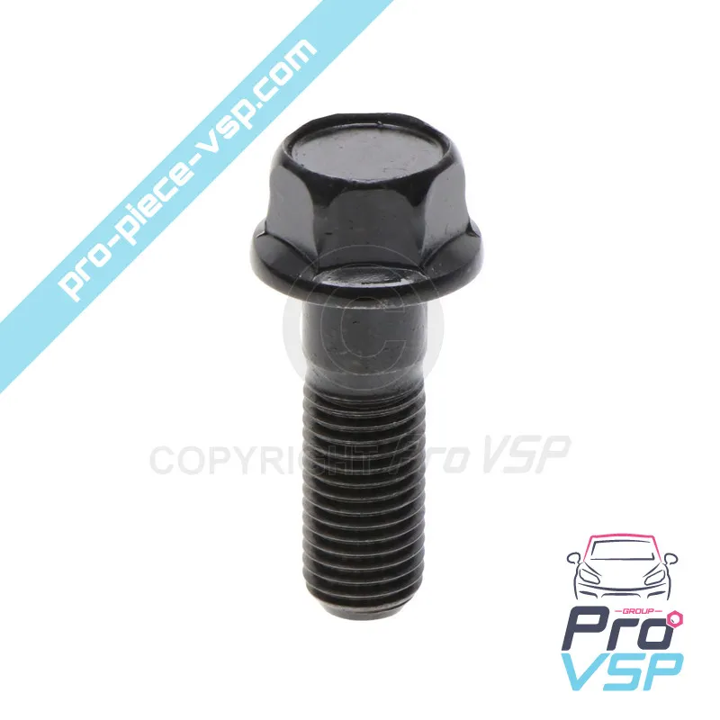 Tornillo del volante del motor