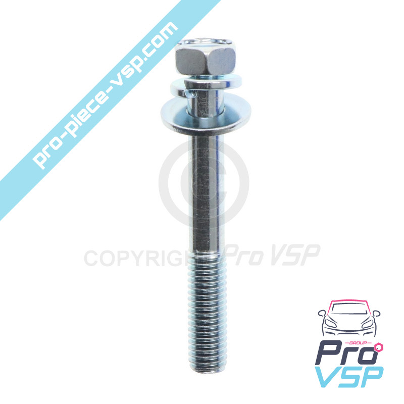 Lower screw of alternator...